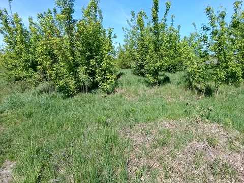 комерційна за адресою вул. Центральна, 32а