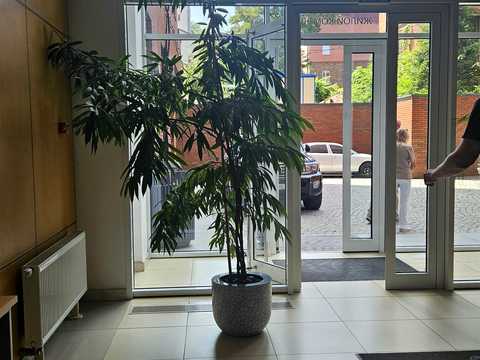 квартира по адресу Шевченко ул., 51