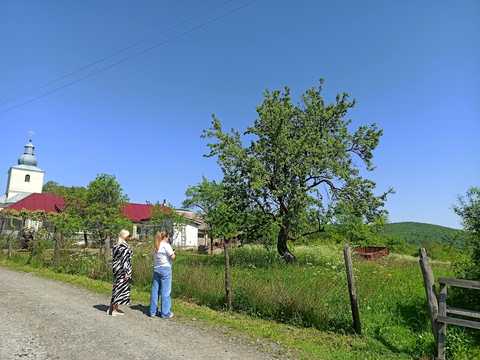 ділянка за адресою Мирна