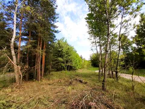 ділянка за адресою с. Грабинівка, Соснова