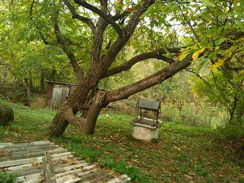 дом по адресу Городище, Ярова, 51
