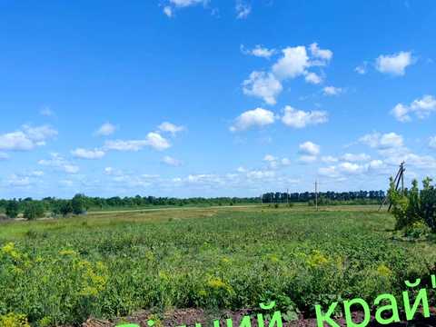 будинок за адресою с. Крюкове, Центральна, 10
