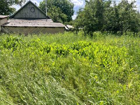 ділянка за адресою 