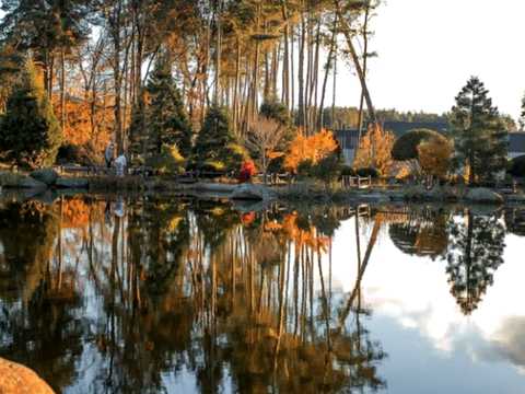 ділянка за адресою Берегова вул., 12