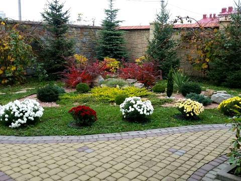 будинок за адресою с. Конопниця, Лесі Українки