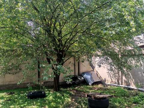 будинок за адресою Івана Камишева вул., 64