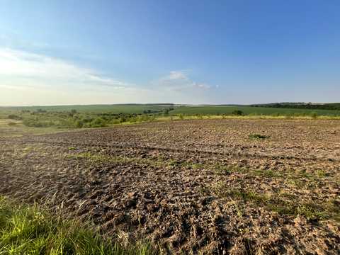 ділянка за адресою с. Лісові Гринівці,