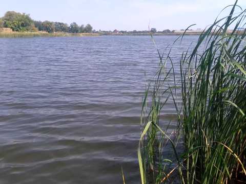 ділянка за адресою Самар (Новомосковськ), Вільне
