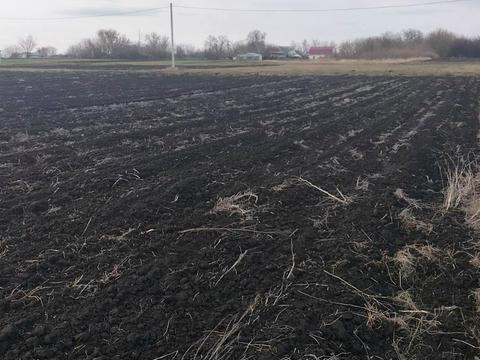 ділянка за адресою с. Мар'янівка, Декабристів, 23