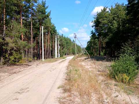 ділянка за адресою Лебедина