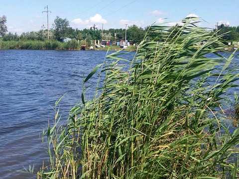 будинок за адресою Самар (Новомосковськ), 2 набережная
