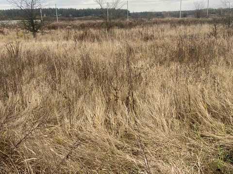 ділянка за адресою с. Рожни, 