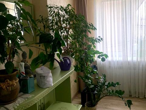 квартира по адресу Парковая ул., 75