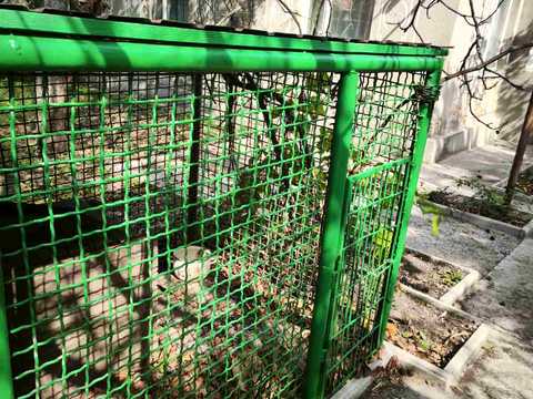 дом по адресу п. Добричи (Первомайское), Нова