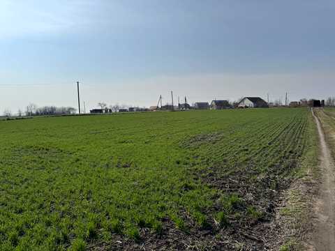 ділянка за адресою с. Дрозди, Кільцева