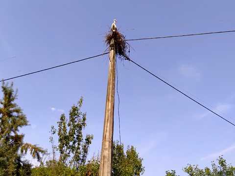 участок по адресу Садовая, 8