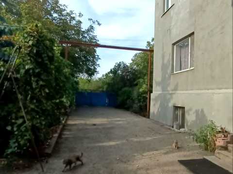 дом по адресу Центральна, 1а