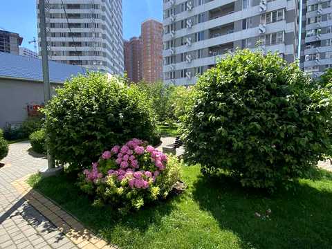 квартира за адресою Люстдорфська дорога вул. (Черноморская дорога), 55/1