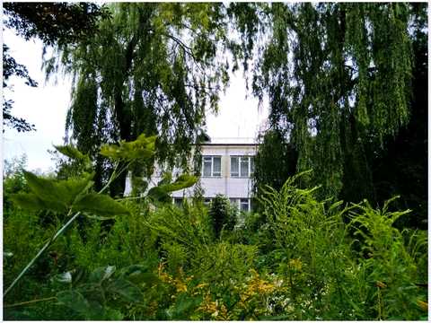 комерційна за адресою Центральна, 81