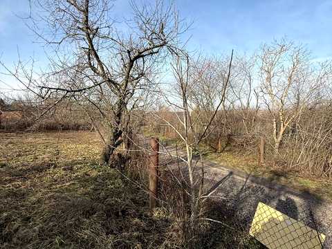 будинок за адресою с. Карпівці, Вишнева, 2