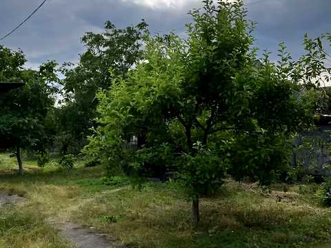 ділянка за адресою Івана Франка, 35