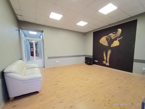 комерційна за адресою Італійська вул. (Пушкінська), 42