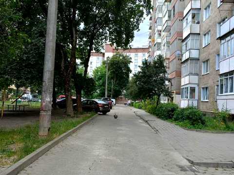 квартира по адресу Троллейбусная ул., 12