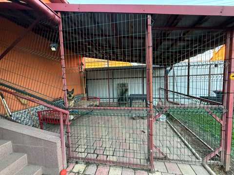 дом по адресу Олега Ольжича ул. (Івана Лобачевського)