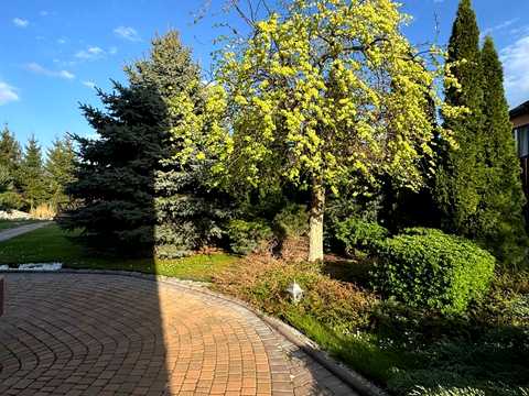 будинок за адресою Курінний пров.
