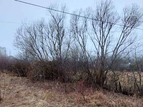 ділянка за адресою Шевченка вул., 3