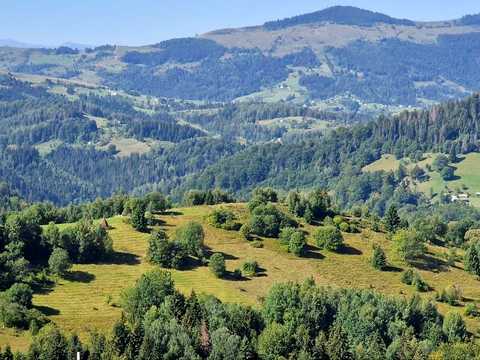 участок по адресу Шевченка, 3