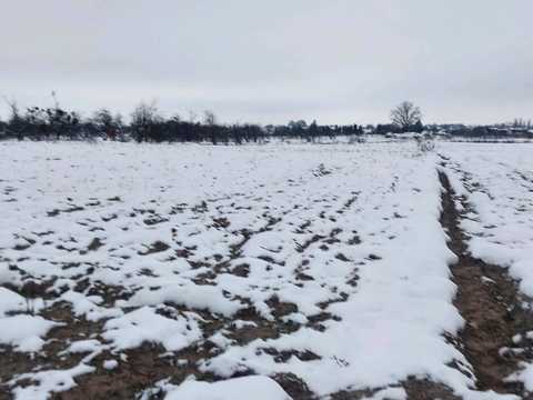 ділянка за адресою с. Сінгури, 