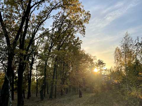 будинок за адресою Терещенківська