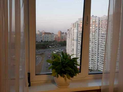 квартира по адресу Завальная ул., 10-Г