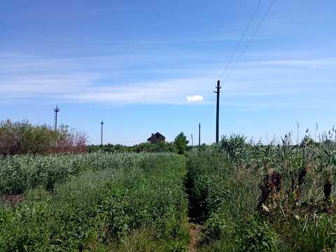 участок по адресу с. Гамалиевка, Гамаліївка