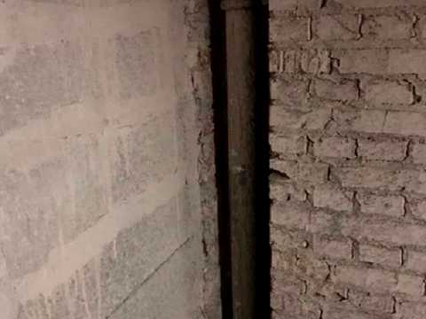 1815158543593842