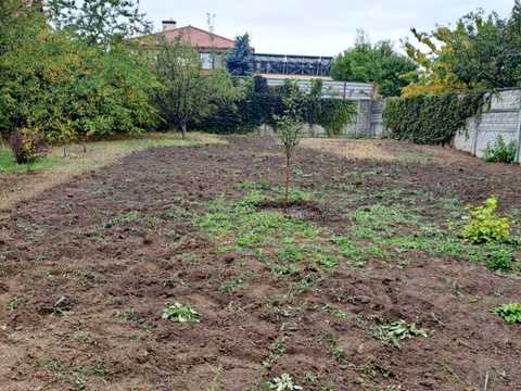 дом по адресу Провулок Дослідний