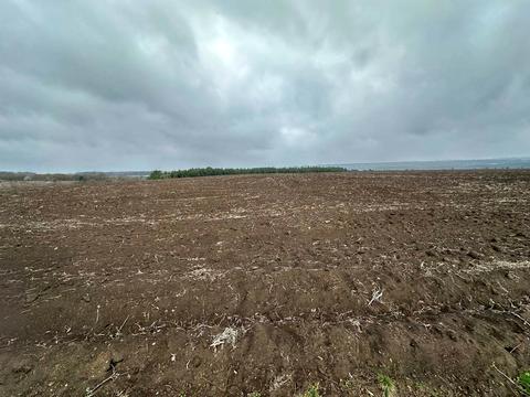ділянка за адресою с. Кульчіївці, 