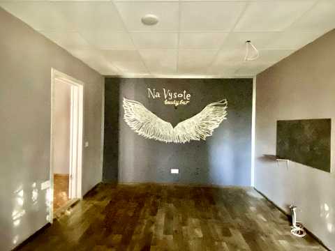 комерційна за адресою Панікахи вул., 30