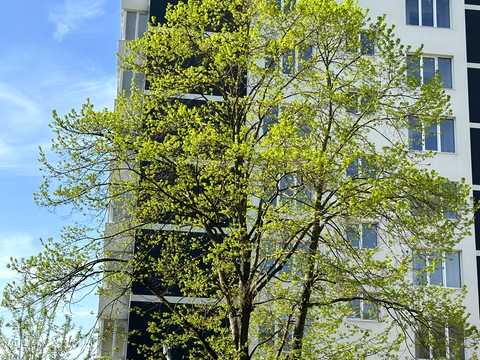 квартира по адресу Галицкая ул., (Будинок 1)