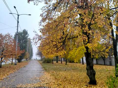 квартира по адресу Деревянко, 14