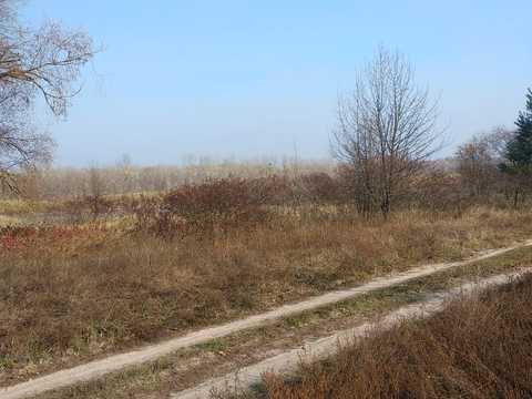 участок по адресу с. Соколовка, 