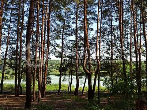 коммерческая по адресу Светлая ул., 1