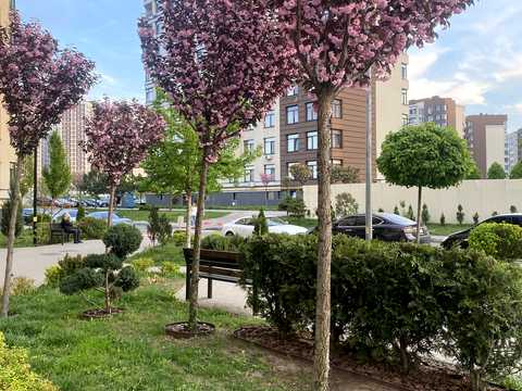 квартира за адресою Березова вул., 43