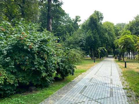 квартира за адресою Івана Мазепи вул. (Січневого Повстання), 8