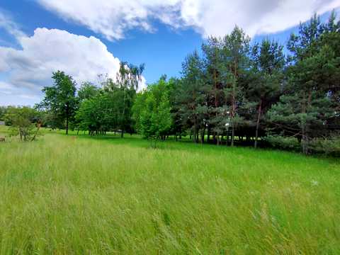 ділянка за адресою Центральна вул., 777