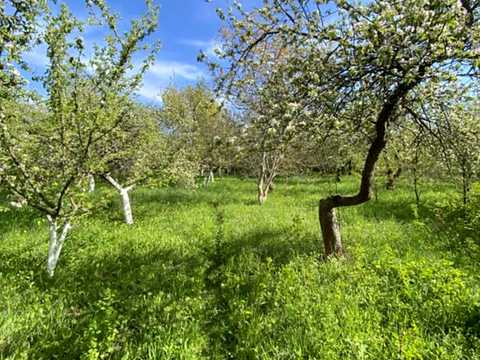 ділянка за адресою Підлісна, 15а