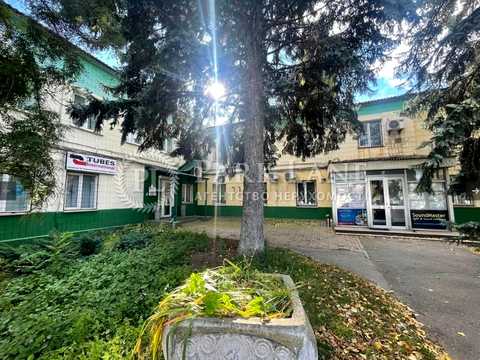 комерційна за адресою Гетьмана Павла Скоропадського вул. (Толстого), 63