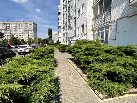 квартира за адресою Архітектора Старова вул., 2