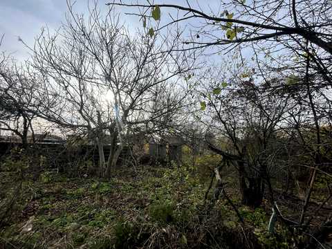 участок по адресу 8 Лесная, 9